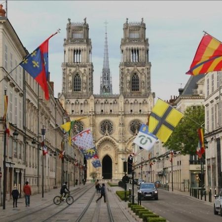 Studio Rue Pietonne Orléans Exteriör bild