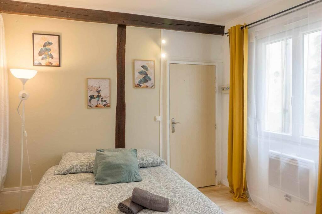 Studio Rue Pietonne Orléans Exteriör bild