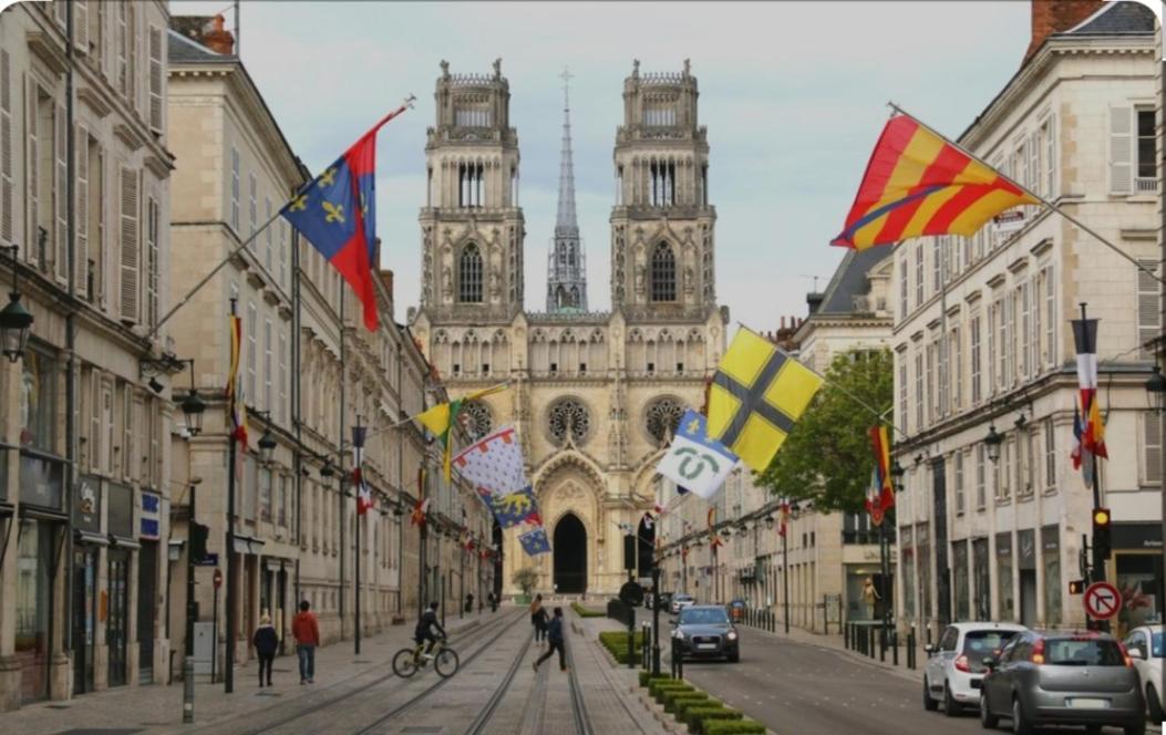 Studio Rue Pietonne Orléans Exteriör bild